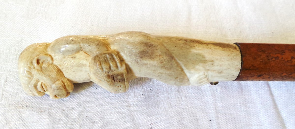 System Defense Cane Armed With A Dagger With A Quadrangular Blade - 19th-20th Century-photo-3