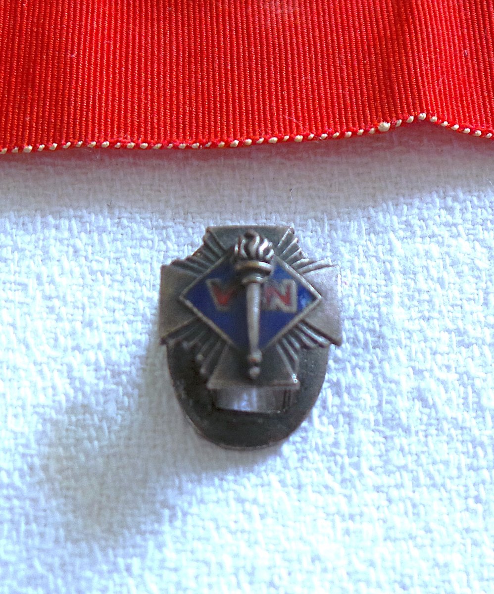 Brassard With " Volontaires Nationaux " Buttonhole Badge 1923 Era , Disbanded In 1936, XX°-photo-3