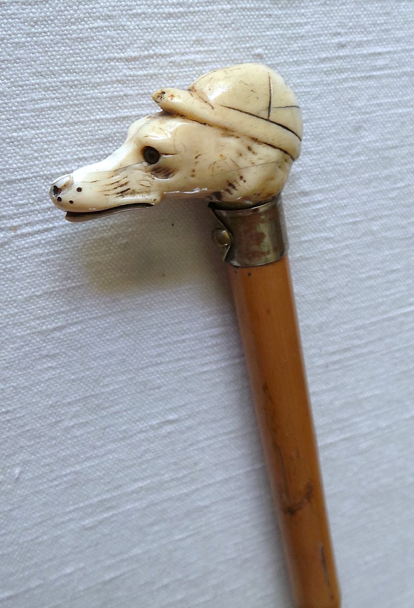 Cane Badine A  Greyhound's Head - XIX°--photo-3