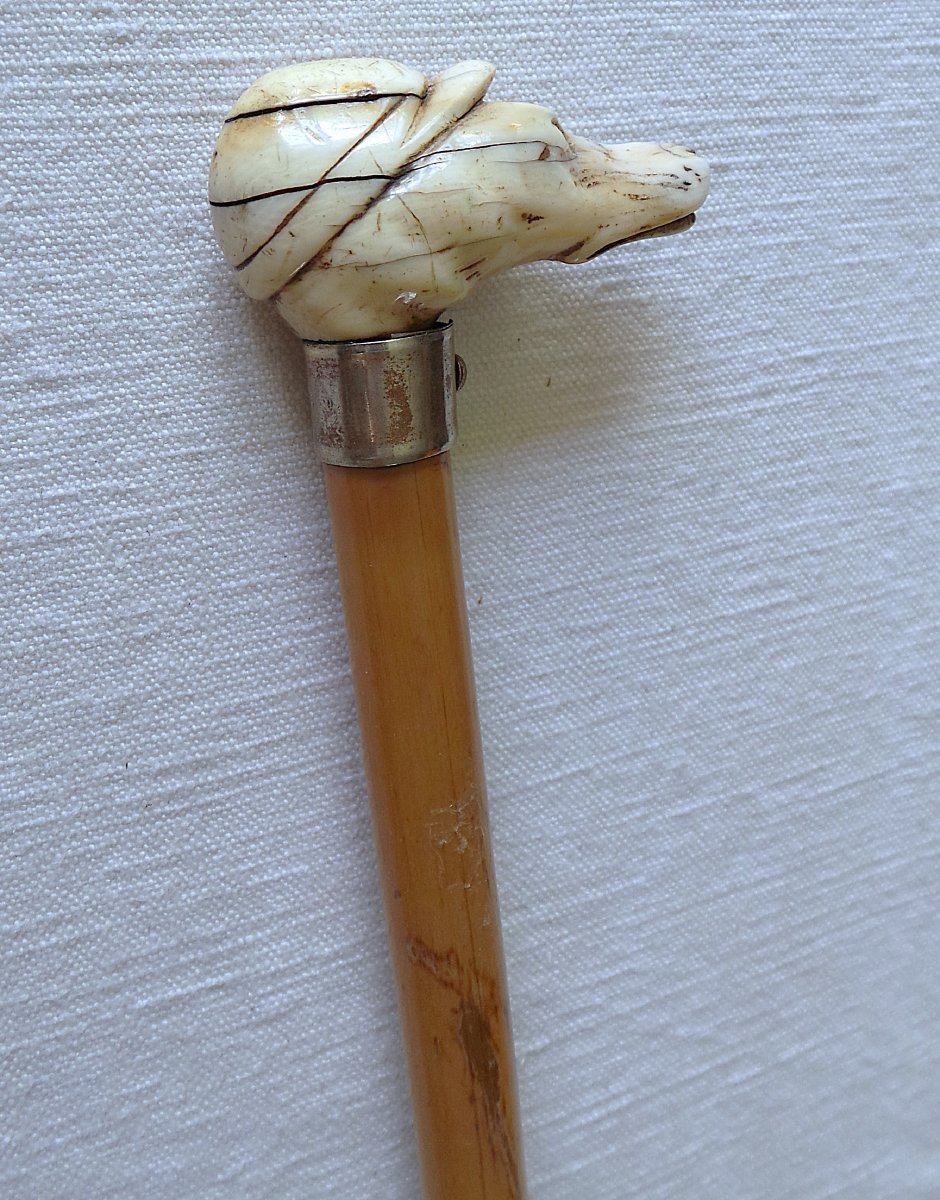 Cane Badine A  Greyhound's Head - XIX°--photo-1