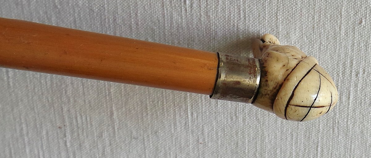 Cane Badine A  Greyhound's Head - XIX°--photo-2