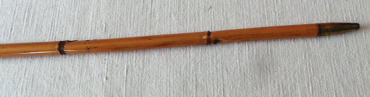 Cane Badine A  Greyhound's Head - XIX°--photo-4