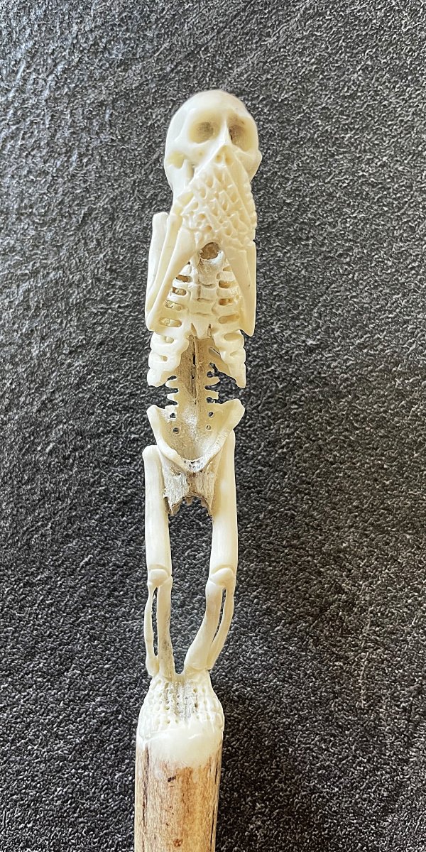 Memento Mori - Deer Antler Carved With A Skeleton - 19th Century-photo-2