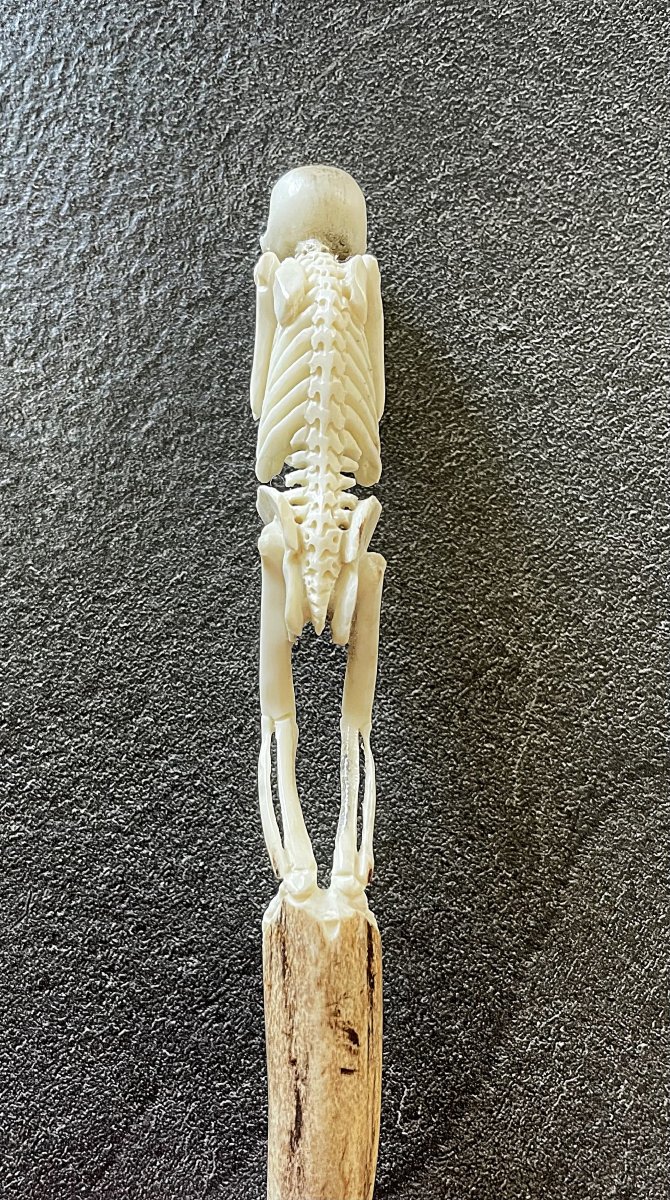 Memento Mori - Deer Antler Carved With A Skeleton - 19th Century-photo-4