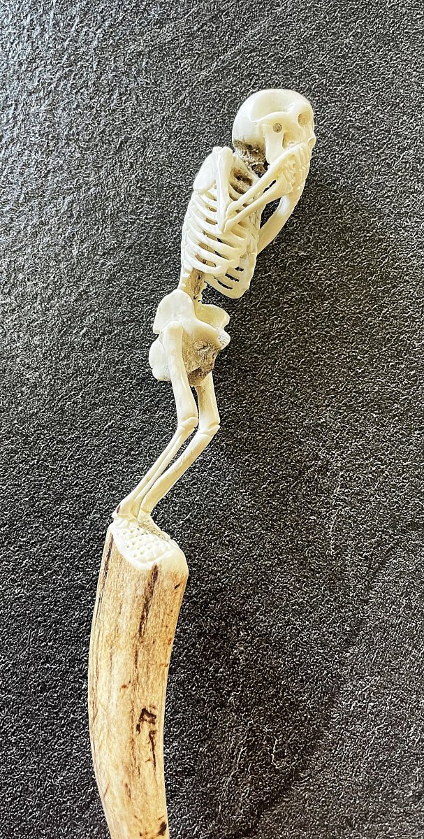 Memento Mori - Deer Antler Carved With A Skeleton - 19th Century