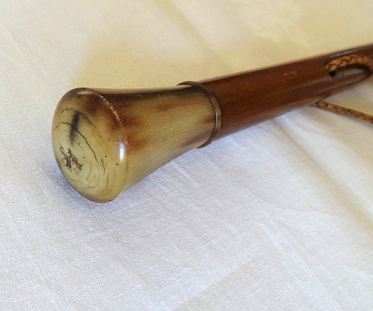 Dandy's Cane - Blonde Horn - 20th Century-photo-2