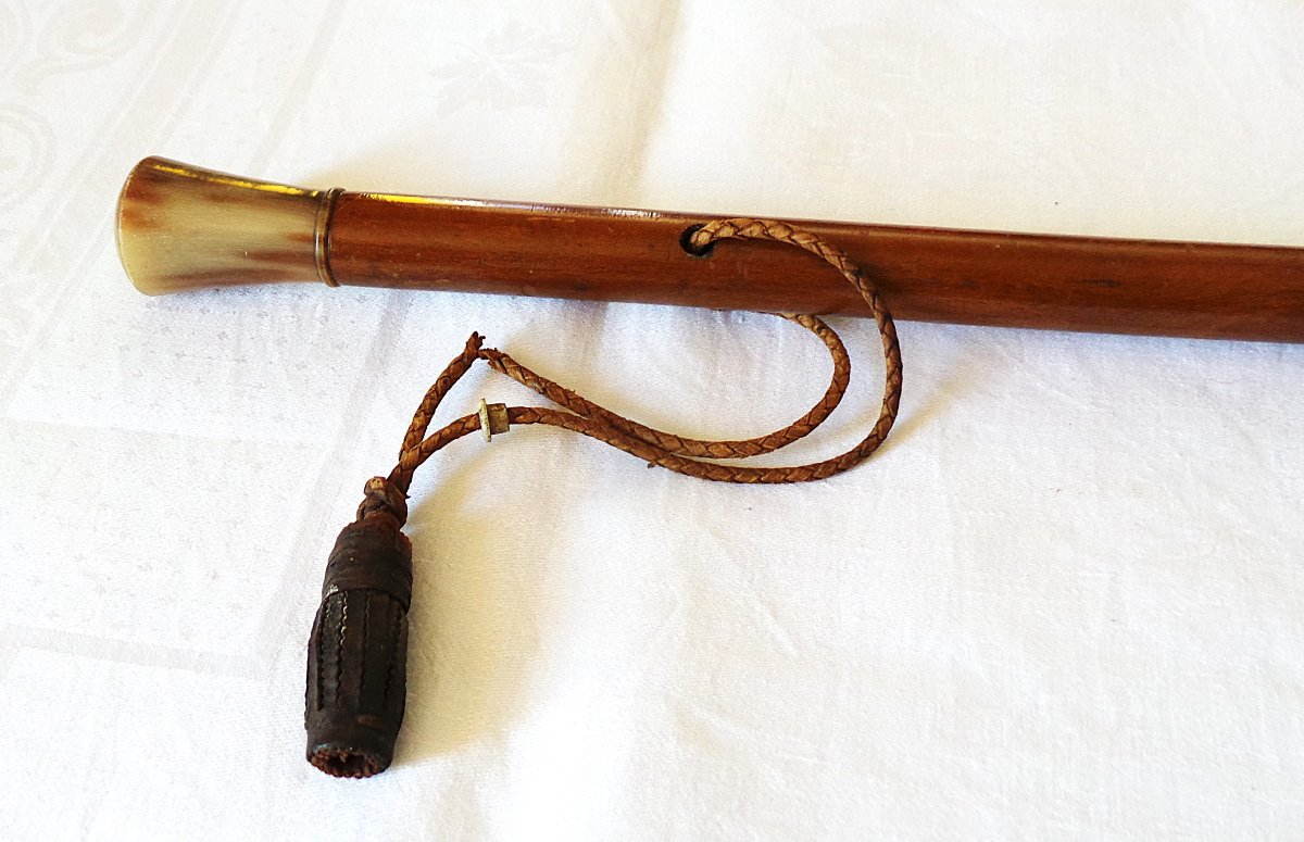 Dandy's Cane - Blonde Horn - 20th Century-photo-3