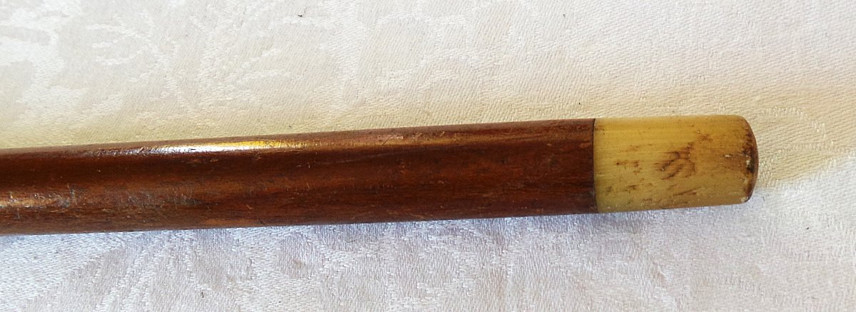 Dandy's Cane - Blonde Horn - 20th Century-photo-4