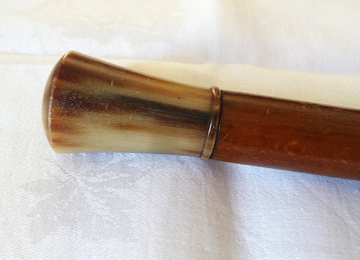 Dandy's Cane - Blonde Horn - 20th Century-photo-2
