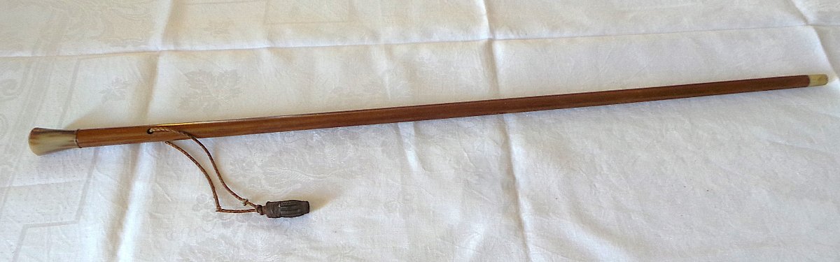 Dandy's Cane - Blonde Horn - 20th Century