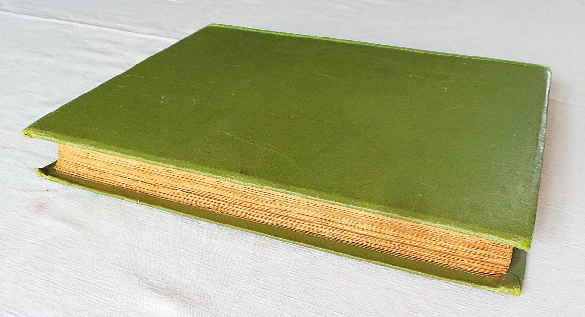 Napoleon's Page - E-dupuis & Job - 1924 Edition-photo-4