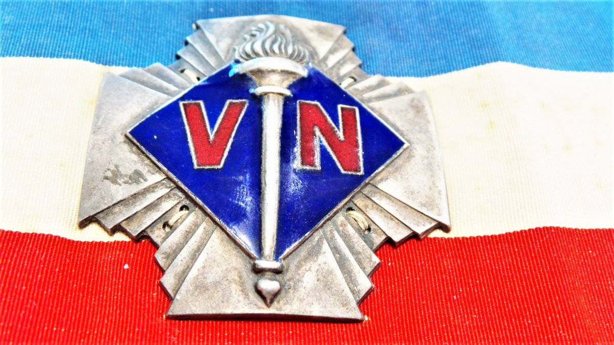 BRASSARD ET INSIGNE DES " VOLONTAIRE NATIONAUX "  -1923-1936-photo-2