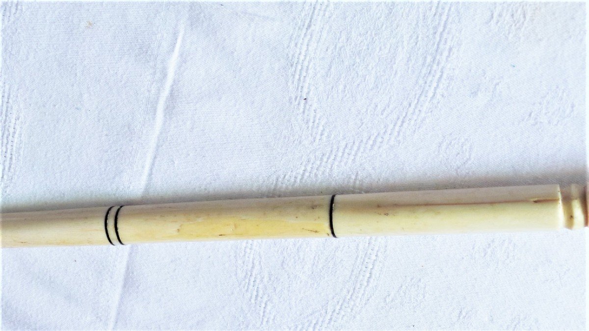 Nineteenth Cane In Dromedary Bone-photo-4