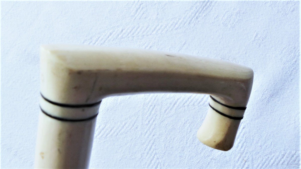 Nineteenth Cane In Dromedary Bone-photo-3