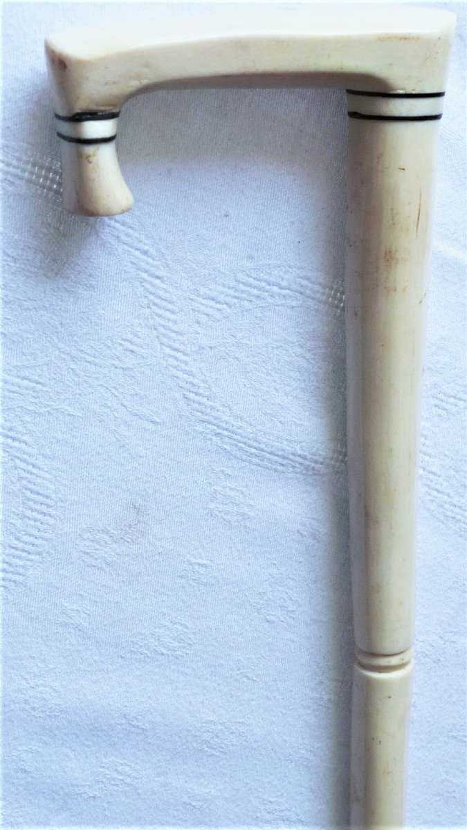 Nineteenth Cane In Dromedary Bone