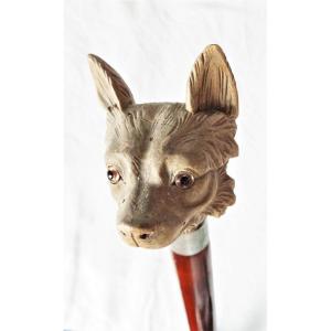 Cane With Handle In The Head Of A Wolf Dog -