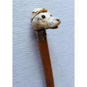 Cane Badine A Greyhound's Head - XIX°-