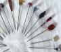 1824297-alb-6aae53eb6ab83.jpg