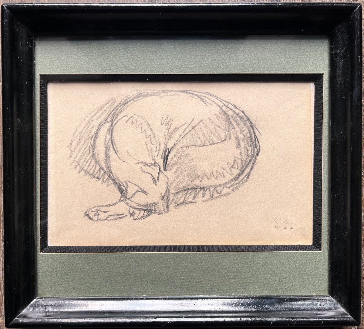 Théophile Alexandre Steinlen Original Drawing Sleeping Cat Montmartre Feline Animal -photo-2