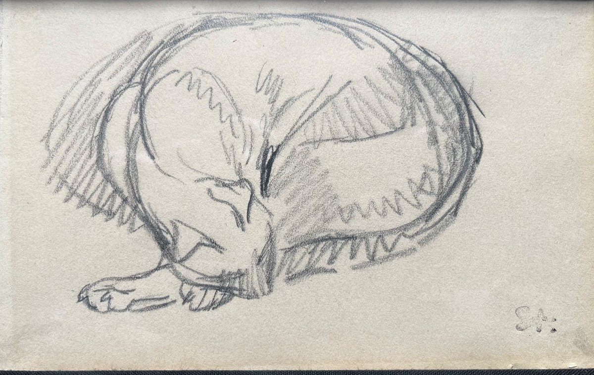 Théophile Alexandre Steinlen Original Drawing Sleeping Cat Montmartre Feline Animal 