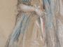 1249506-alb-657ec87f9abcd.jpg