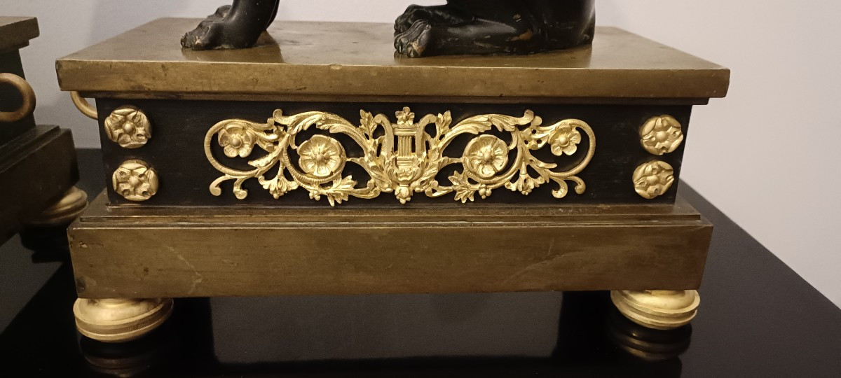 Paire de chenets aux sphinges de style Empire -photo-3