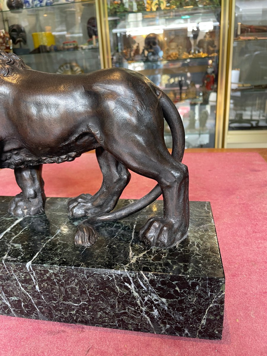 Lion De Medicis Socle Marbre -photo-3