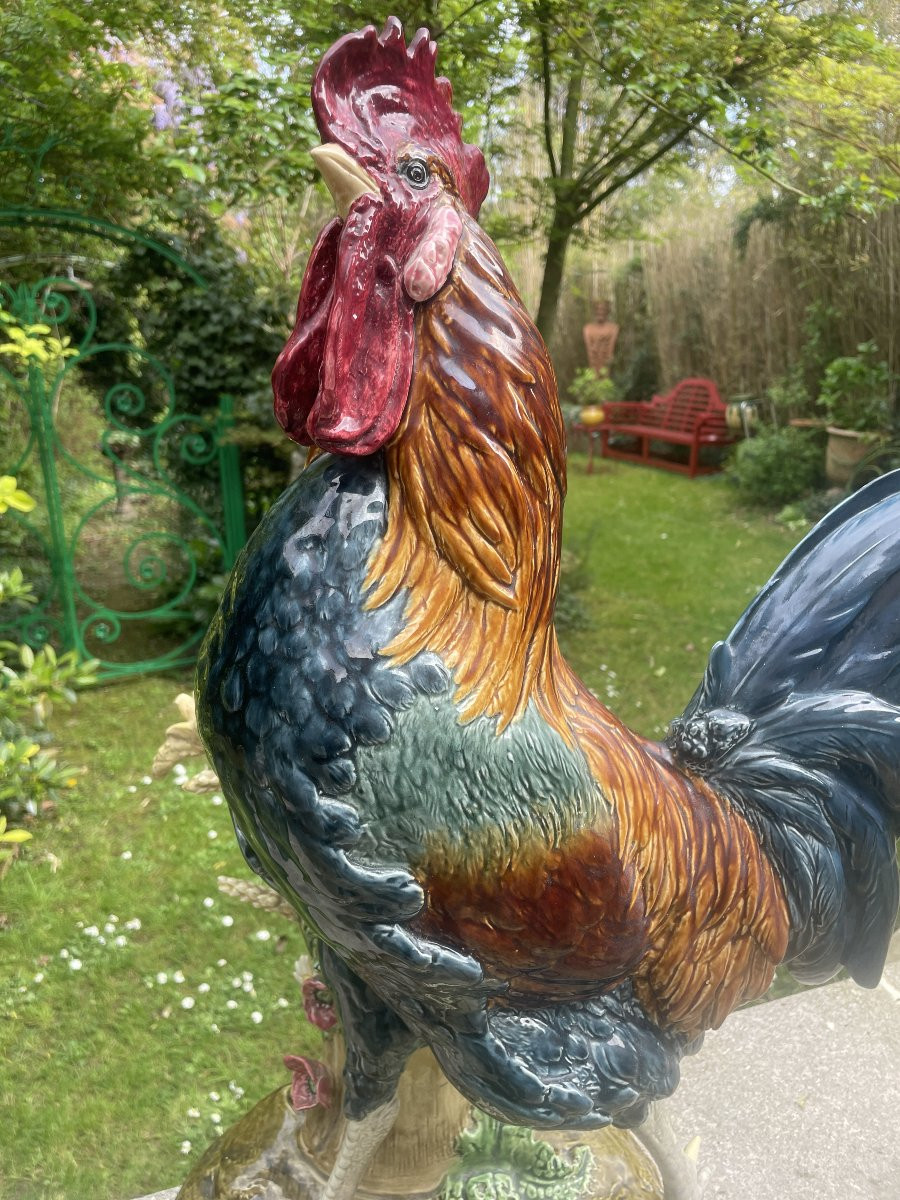 Coq Bouquetiere De Choisy Colomera Grand Modele-photo-2