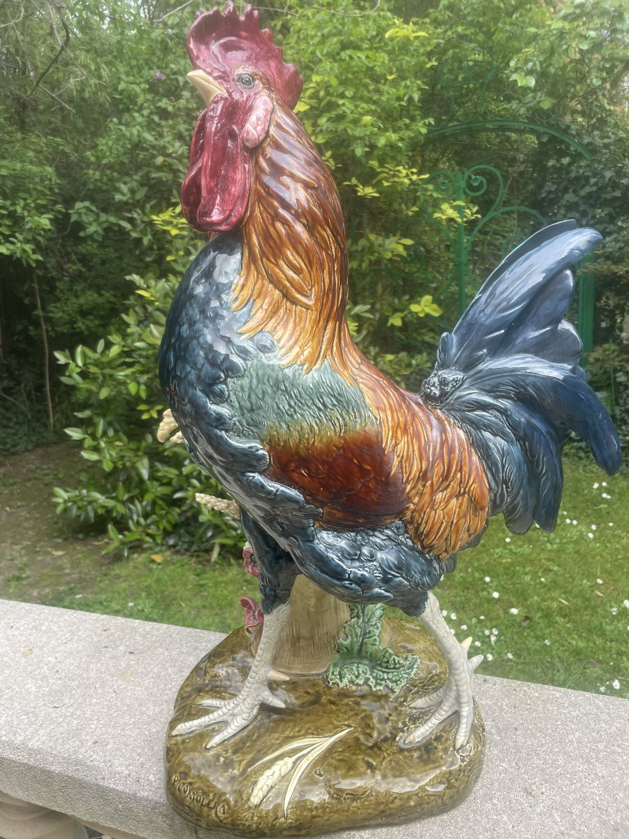 Coq Bouquetiere De Choisy Colomera Grand Modele-photo-6