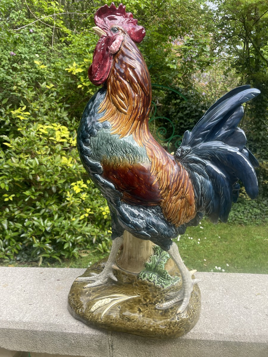 Coq Bouquetiere De Choisy Colomera Grand Modele