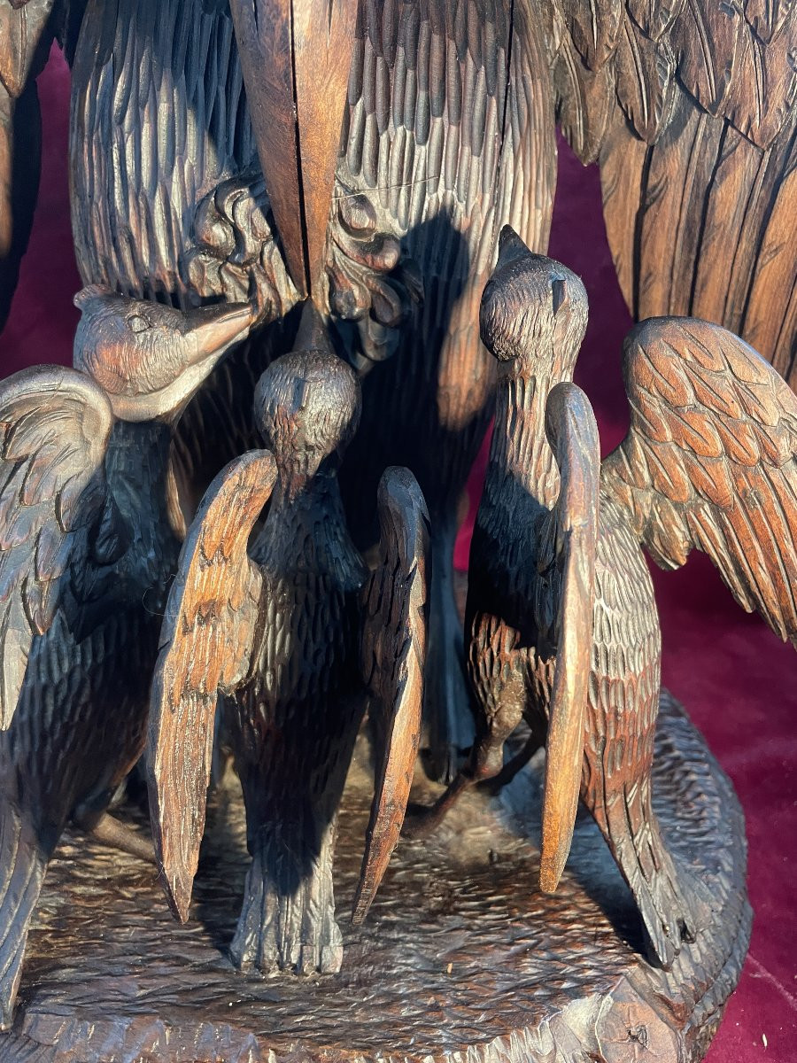 Pelican Feeding Its Young-photo-1