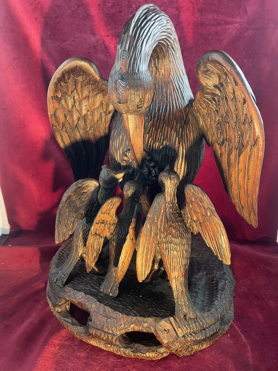 Pelican Feeding Its Young