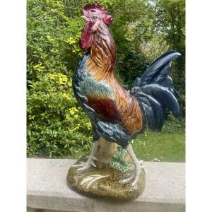 Coq Bouquetiere De Choisy Colomera Grand Modele