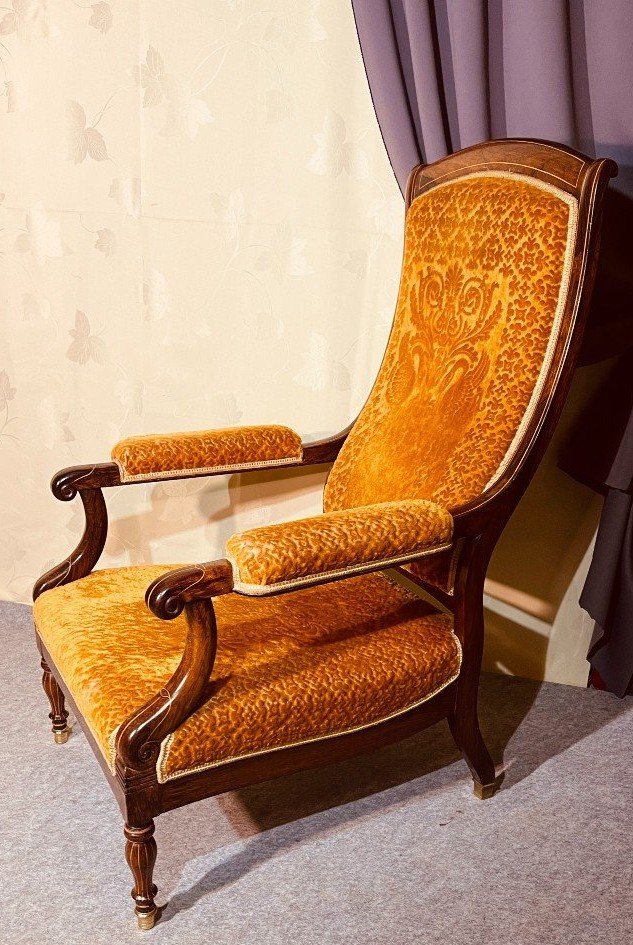 Fauteuil Charles X En Palissandre , XIXe Siècle 