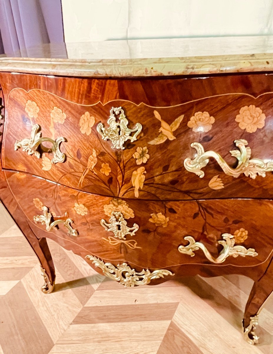 Bird Chest Of Drawers, 18th Century -photo-3