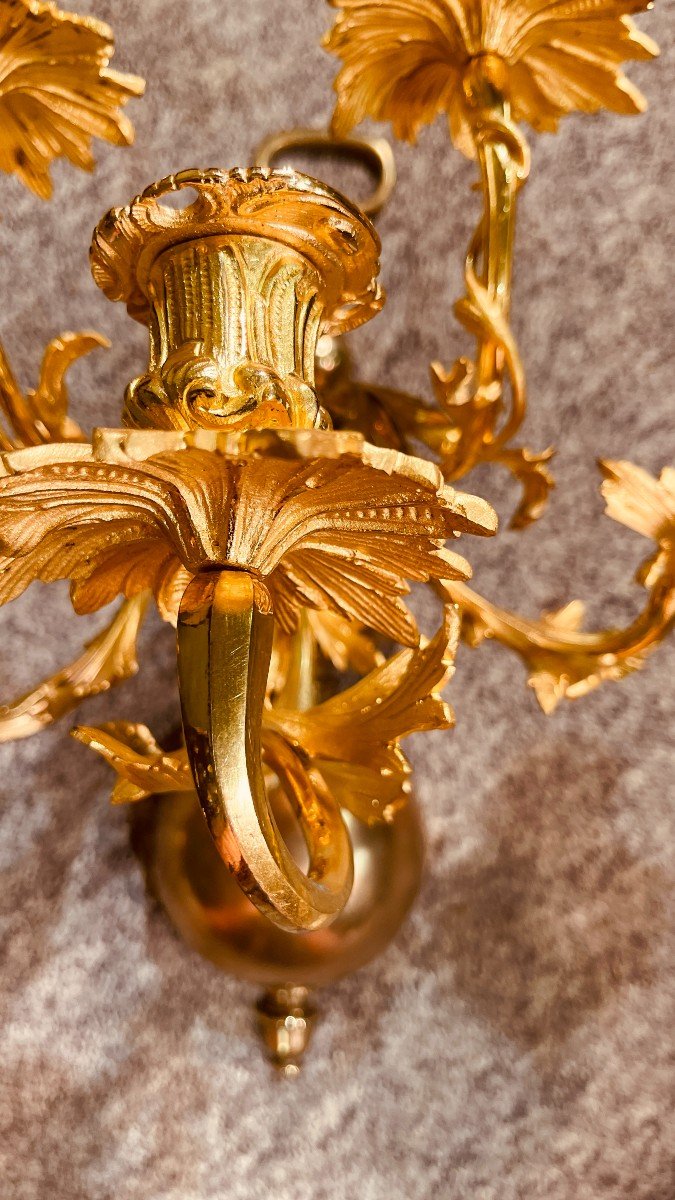 Pair Of Louis XV Sconces In Gilt Bronze, 19th Century-photo-2