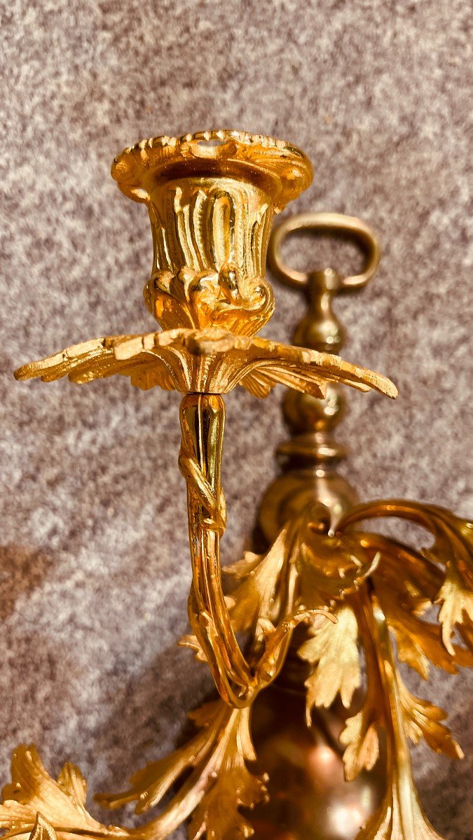 Pair Of Louis XV Sconces In Gilt Bronze, 19th Century-photo-4