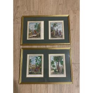 Suite de 4 Gravures " Les Colonisations "
