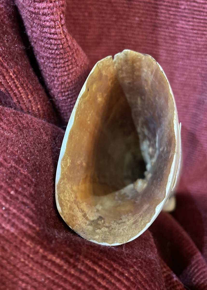 Grande dent de cachalot gravée scrimshaw-photo-3