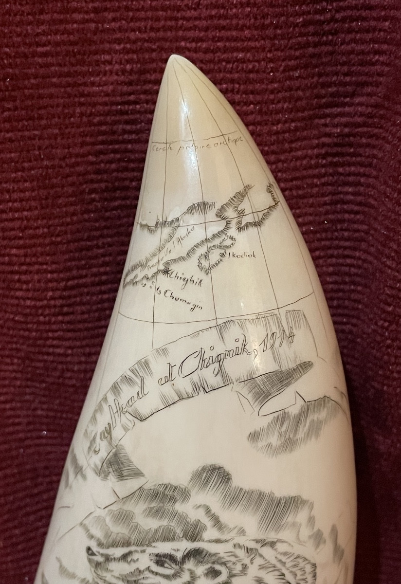 Grande dent de cachalot gravée scrimshaw-photo-2