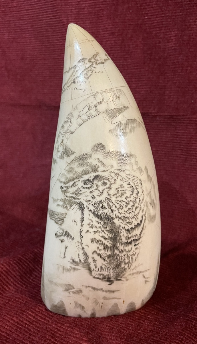 Grande dent de cachalot gravée scrimshaw