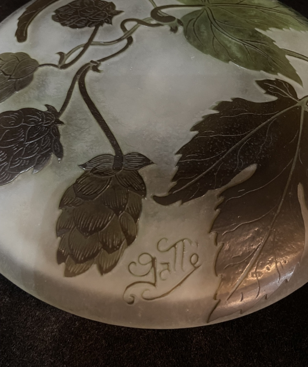 Bonbonnière GALLÉ fleurs de houblon-photo-3