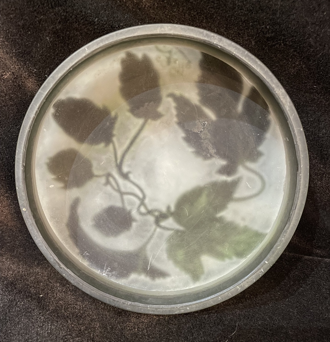 Bonbonnière GALLÉ fleurs de houblon-photo-6