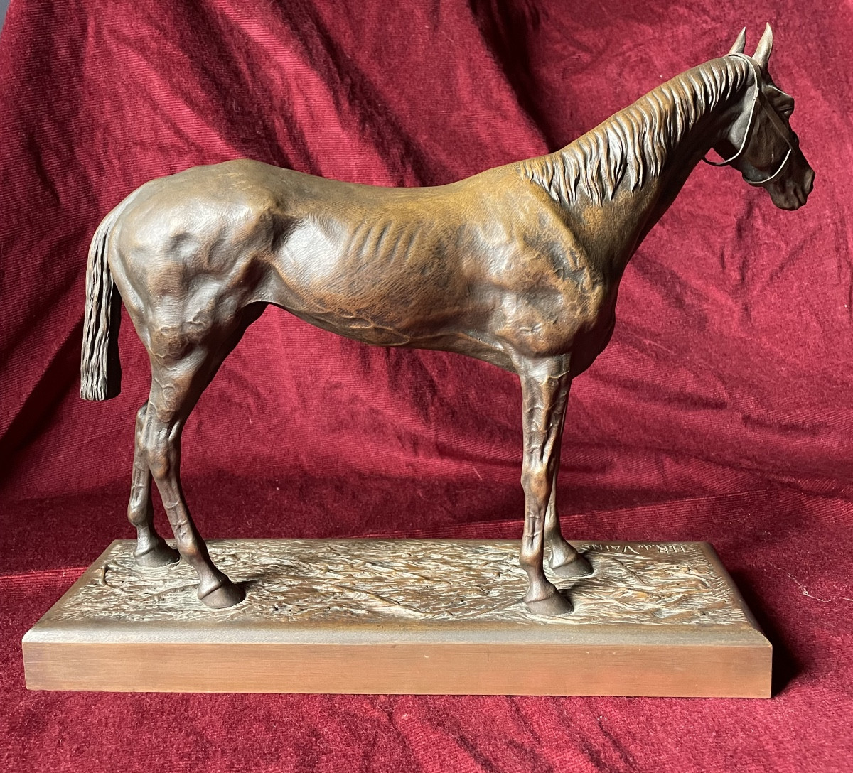 Cheval, bronze par H.R. de Vains-photo-2