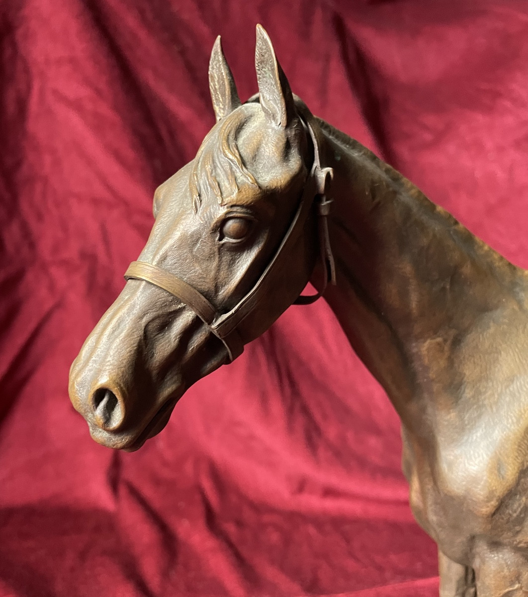 Cheval, bronze par H.R. de Vains-photo-4
