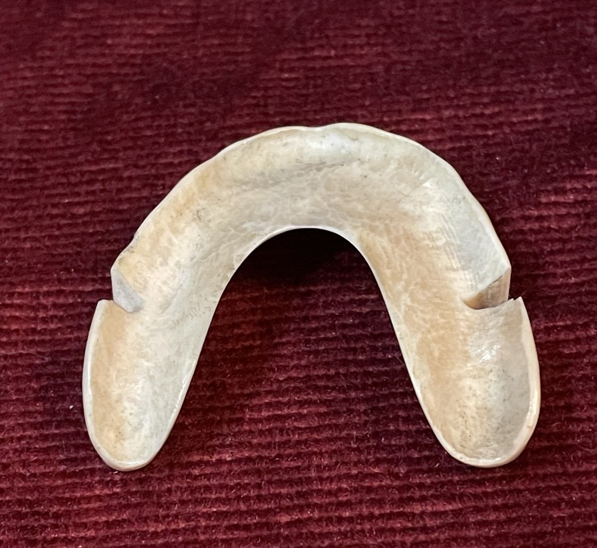 18th Century Denture Made Of Hippopotamus Ivory -photo-4