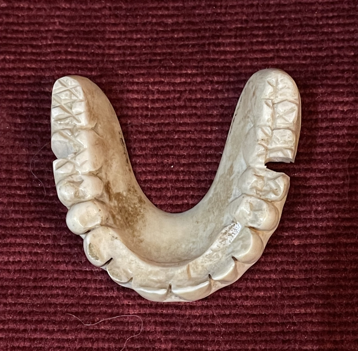 18th Century Denture Made Of Hippopotamus Ivory -photo-1