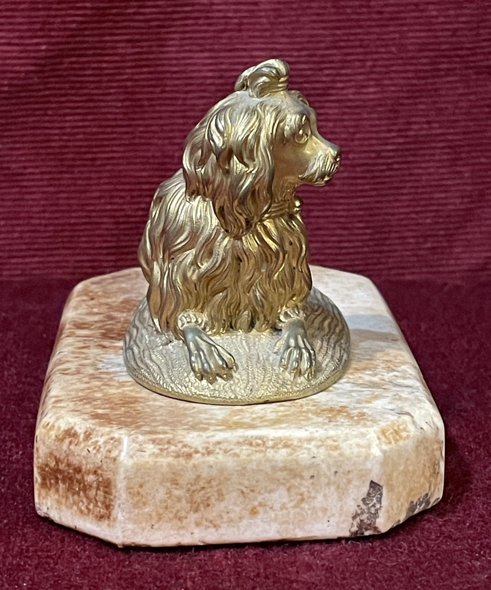 Small Bronze Dog, 19th Century-photo-3