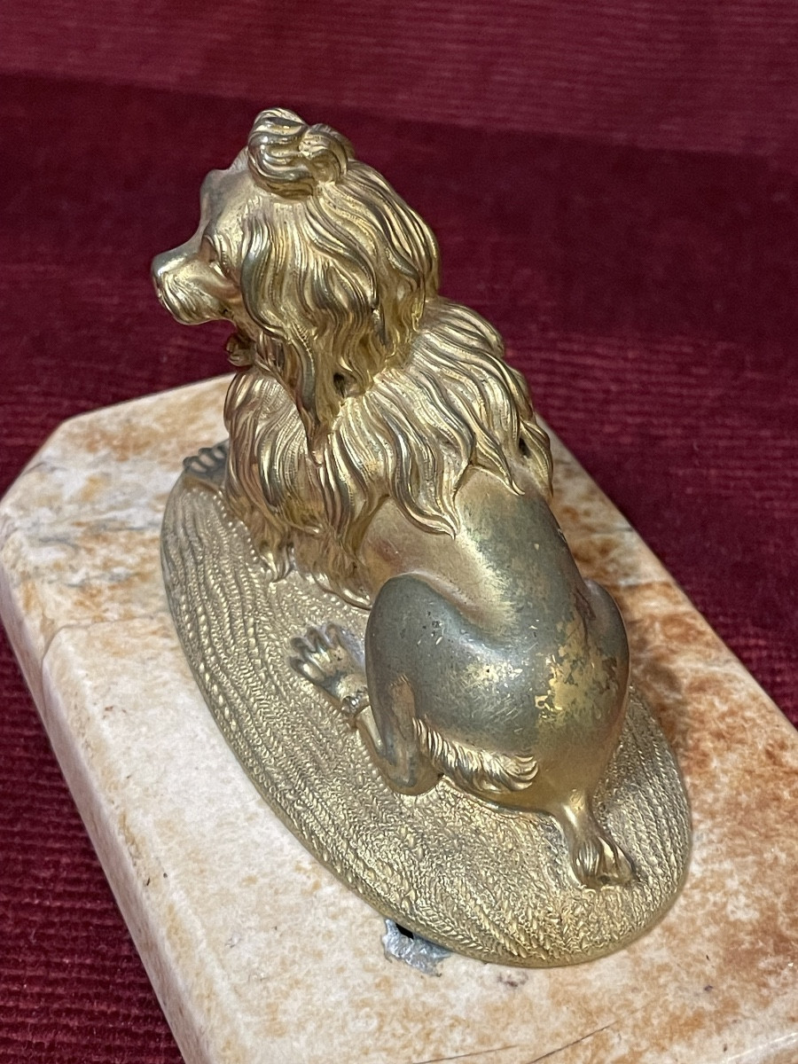 Small Bronze Dog, 19th Century-photo-4