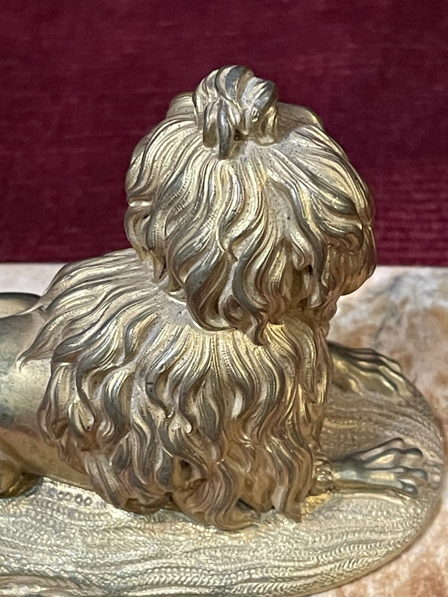 Small Bronze Dog, 19th Century-photo-1